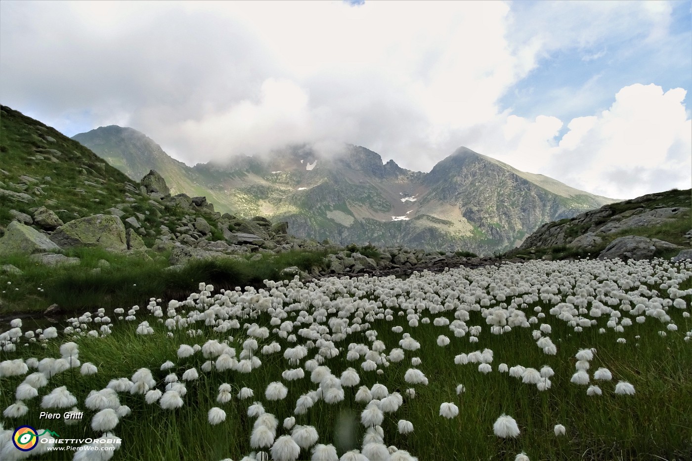 85 Laghetto fiorito di bianchi eriofori.JPG